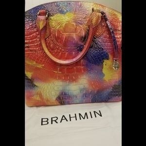 Brahmin Dandy